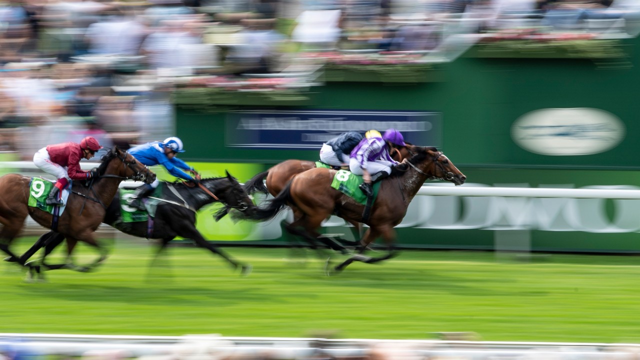 We Ve Got A Bit Of A Cat And Mouse Game Gosden Expects Tactical King George Horse Racing News Racing Post