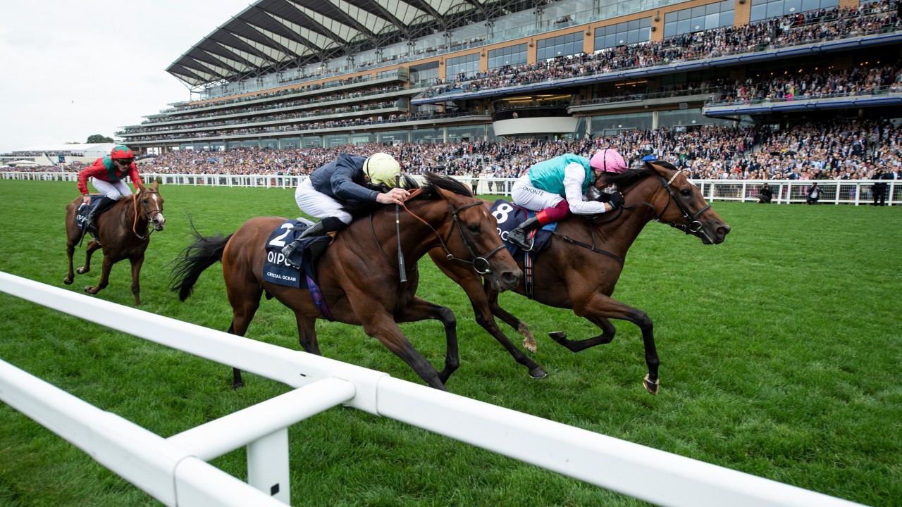 Ascot Slashes King George Prize Money To 400 000 Due To Covid 19 Impact Horse Racing News Racing Post