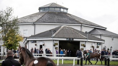 The Tattersalls Ireland sales ring in Ratoath, Fairyhouse