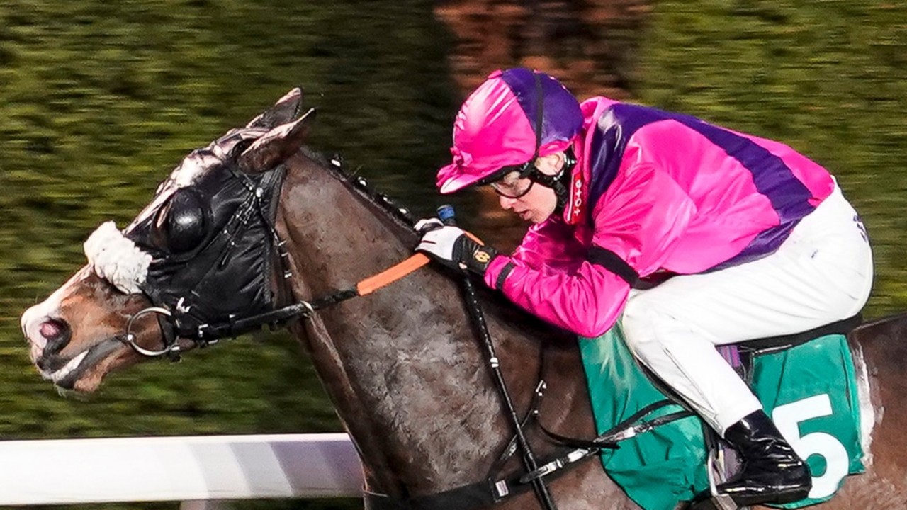 Apprentice jockey facing 26 disqualifications for riding with incorrect