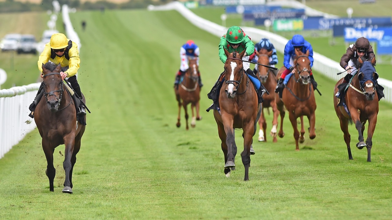 Expert Analysis And Trainer Insight For This Competitive Handicap Horse Racing News Racing Post
