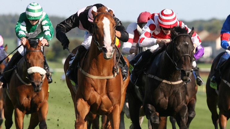 Geojimali: Ayr Silver Cup winner put the family on the map