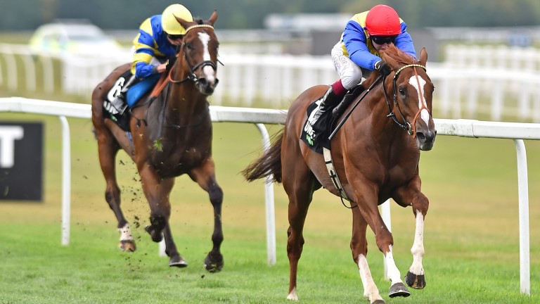 Rhythmic Intent: should like the ground according to trainer Stuart Williams