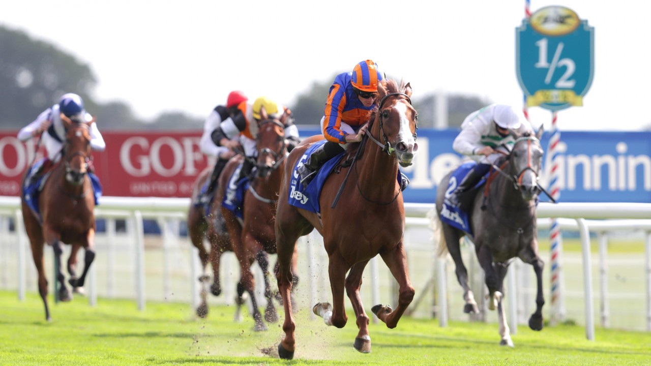 O Brien Hails Love The Finest Filly He Has Trained As She Takes Arc Favouritism Horse Racing News Racing Post