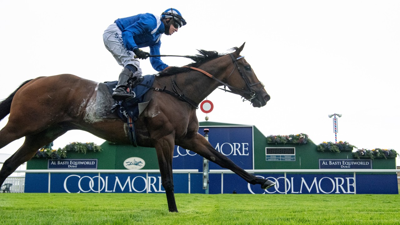 2021 Nunthorpe Stakes At York The Runners The Odds The Verdict Horse Racing News Racing Post