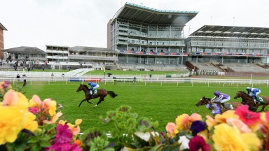looming good: Ghaiyyath proves too good for the opposition in last week's Juddmonte International at York