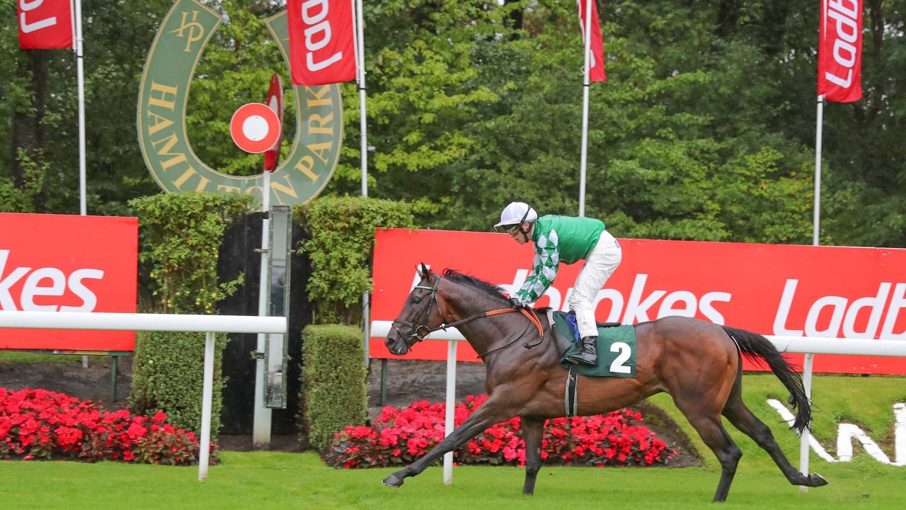 Racetech Cameramen Expected To Make Full Recovery Following Incident At Hamilton Horse Racing News Racing Post