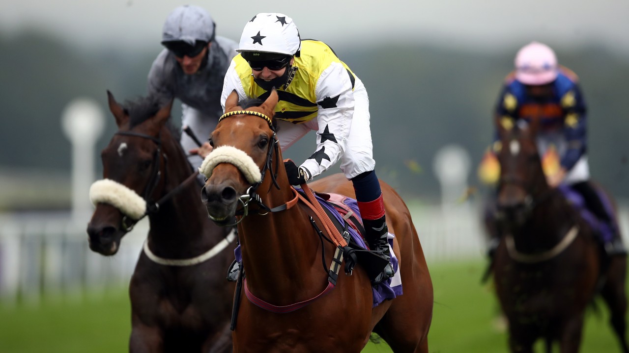 12+ Horse racing results beverley yesterday best pedictions