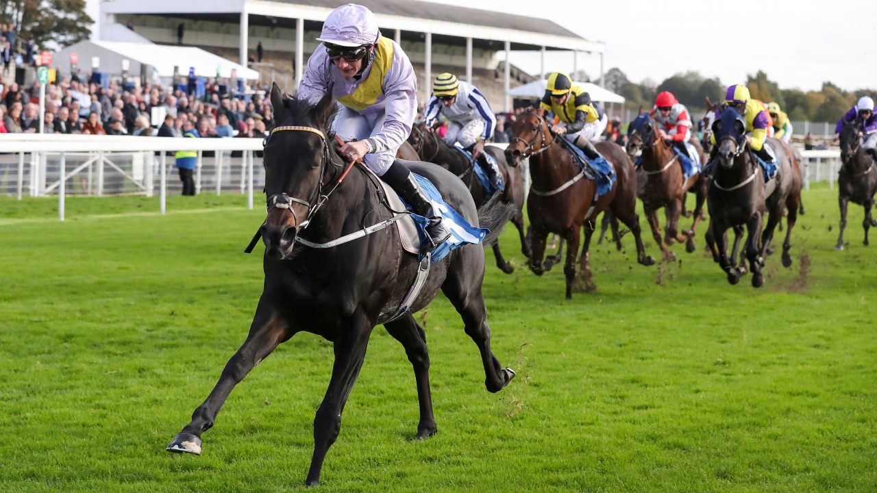 Will the true Khaadem turn up again? Tom Collins assesses a 'wideopen