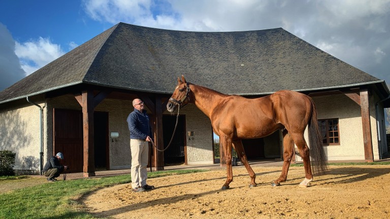 James Du Berlais will represent the late Muhtathir in the Unibet Champion Hurdle on Tuesday