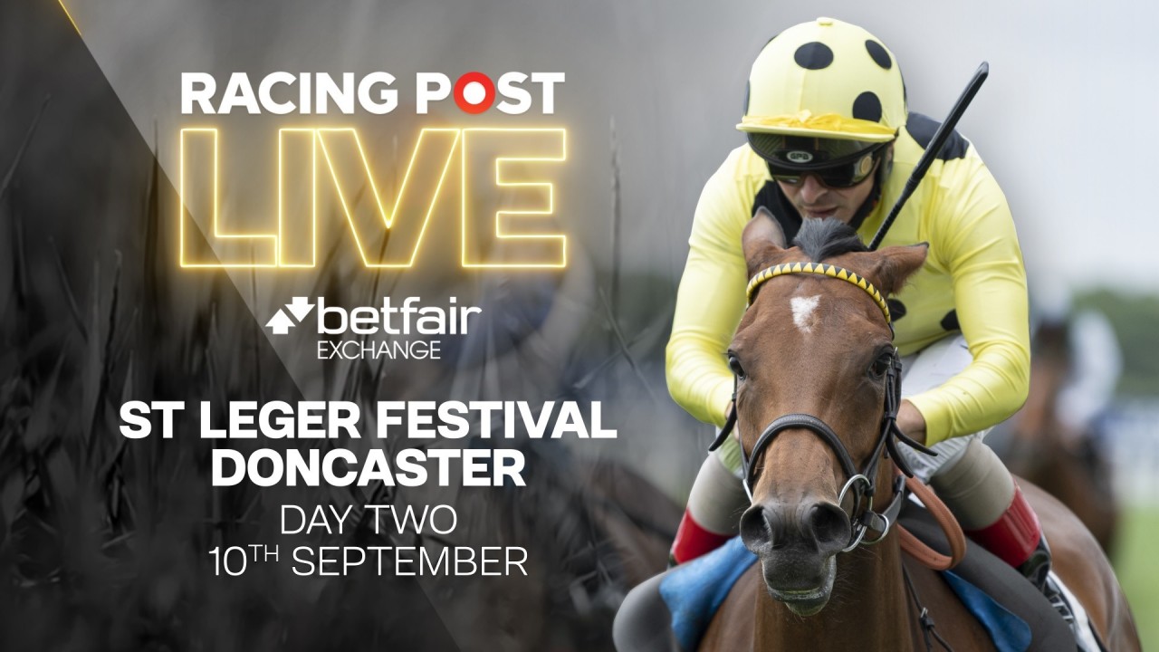 racing post greyhound tips today