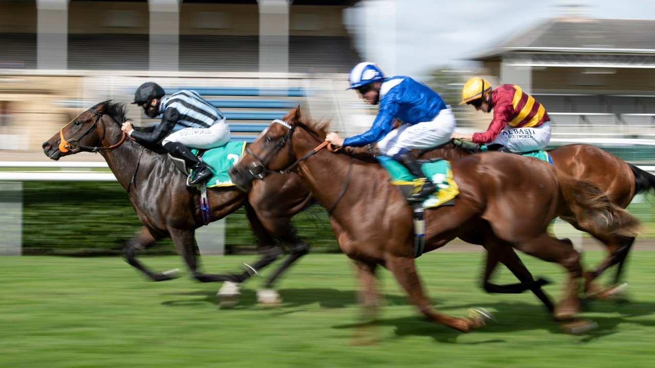 Hannon blown away by piece of work as exciting juveniles &hellip;