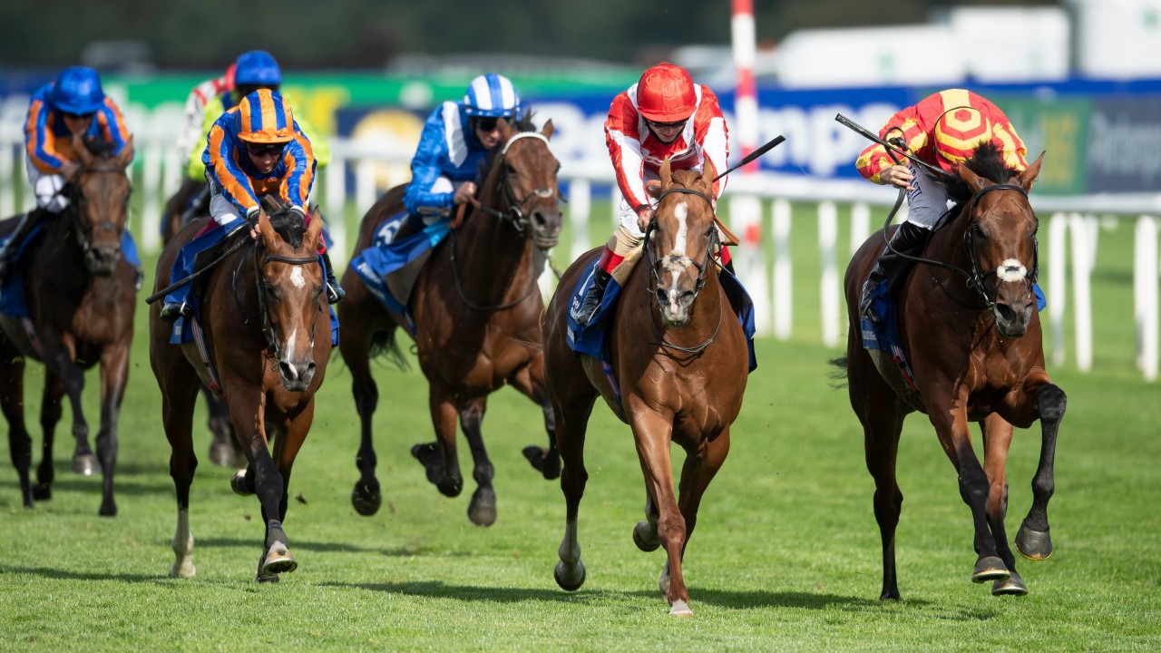 Santiago Out To Emulate Ballydoyle Stars On Vintage Crop Comeback Horse Racing News Racing Post