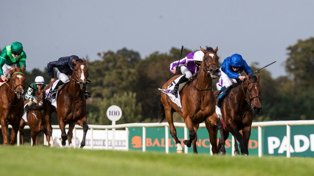 Irish Champion Stakes result keeps leader in charge of Ten To Follow