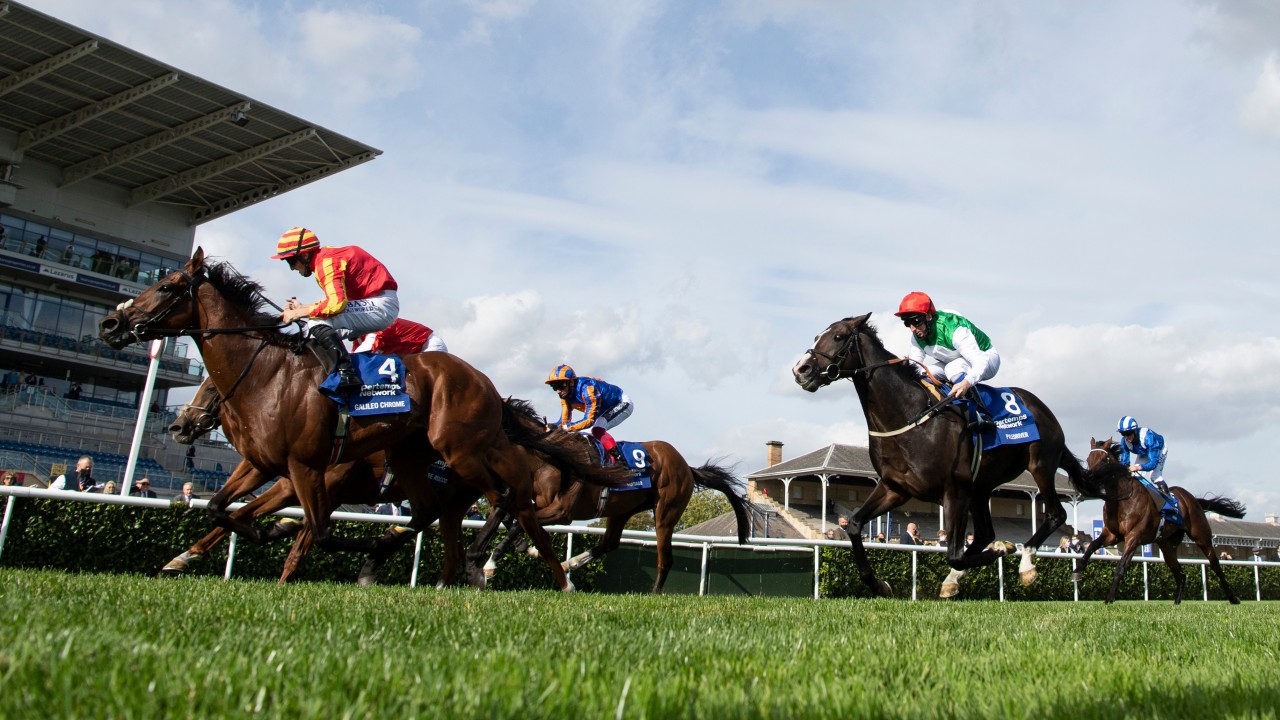 2021 St Leger At Doncaster The Runners The Odds The Verdict Horse Racing News Racing Post