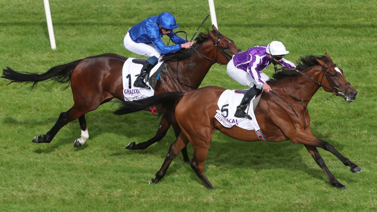 Moore shuns Mogul as Magical gets luck of the draw in Breeders' Cup