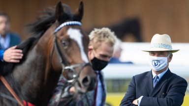 Alkumait: a homegrown hero for Whitsbury Manor Stud and trained locally by Marcus Tregoning