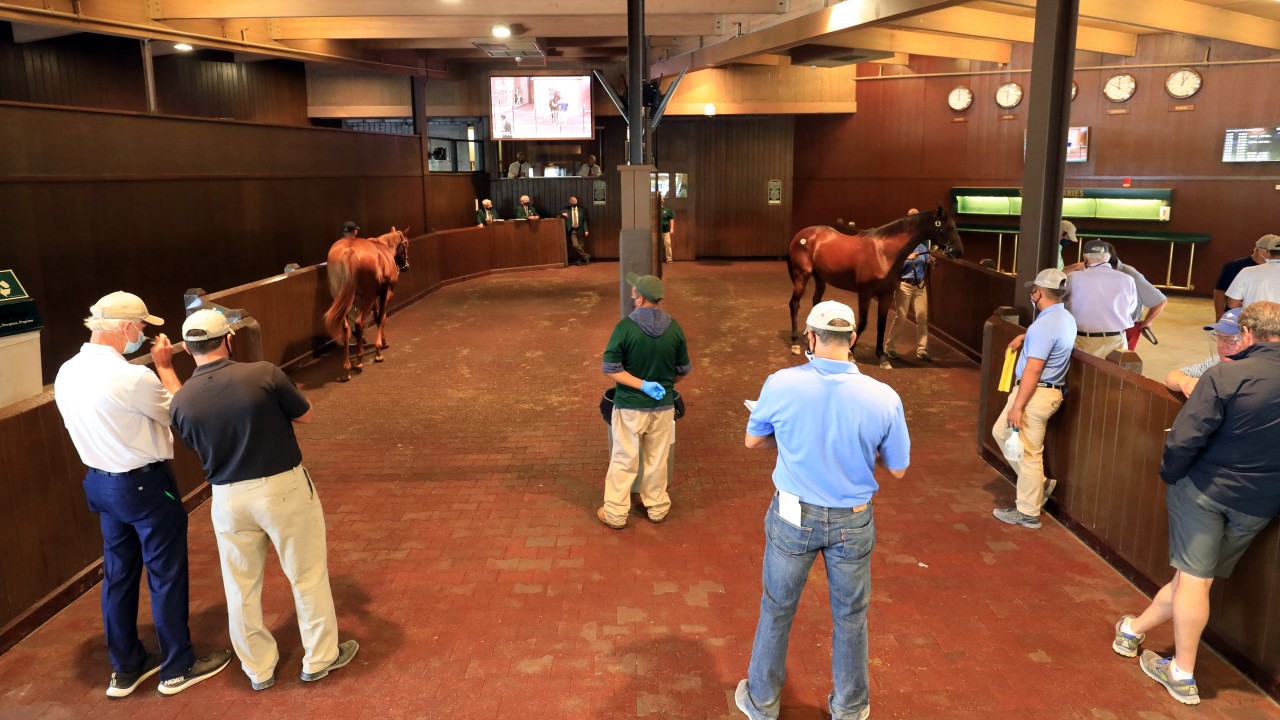 Mo Town colt tops sixth session of the Keeneland November Breeding