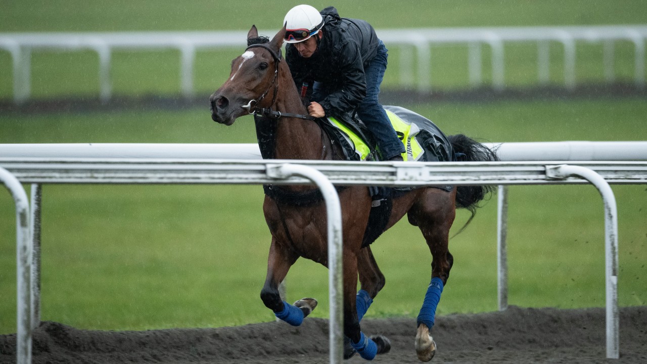 First forfeit stage find out which horses have been left in the Arc