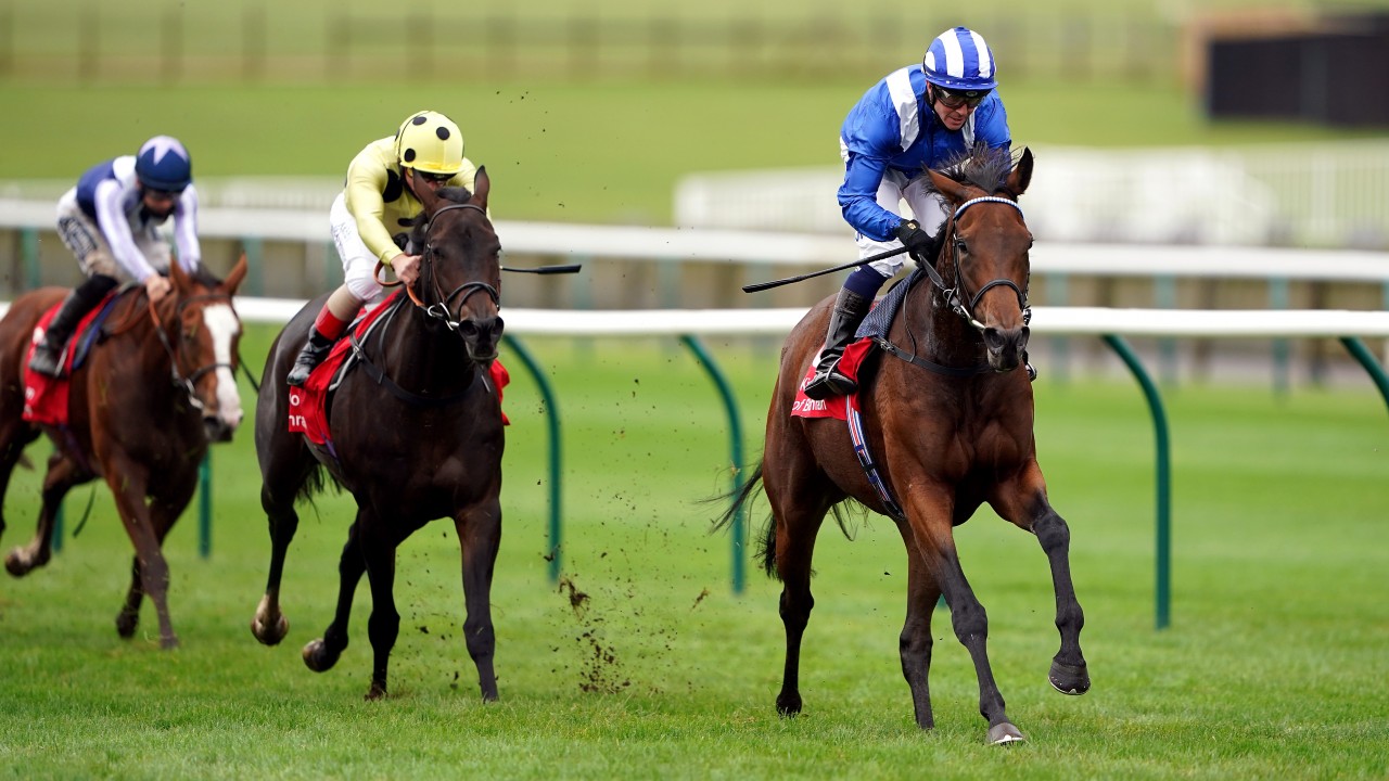 Nazeef The Star Filly For Gosden At Newmarket Before Enable S Arc Date Horse Racing News Racing Post