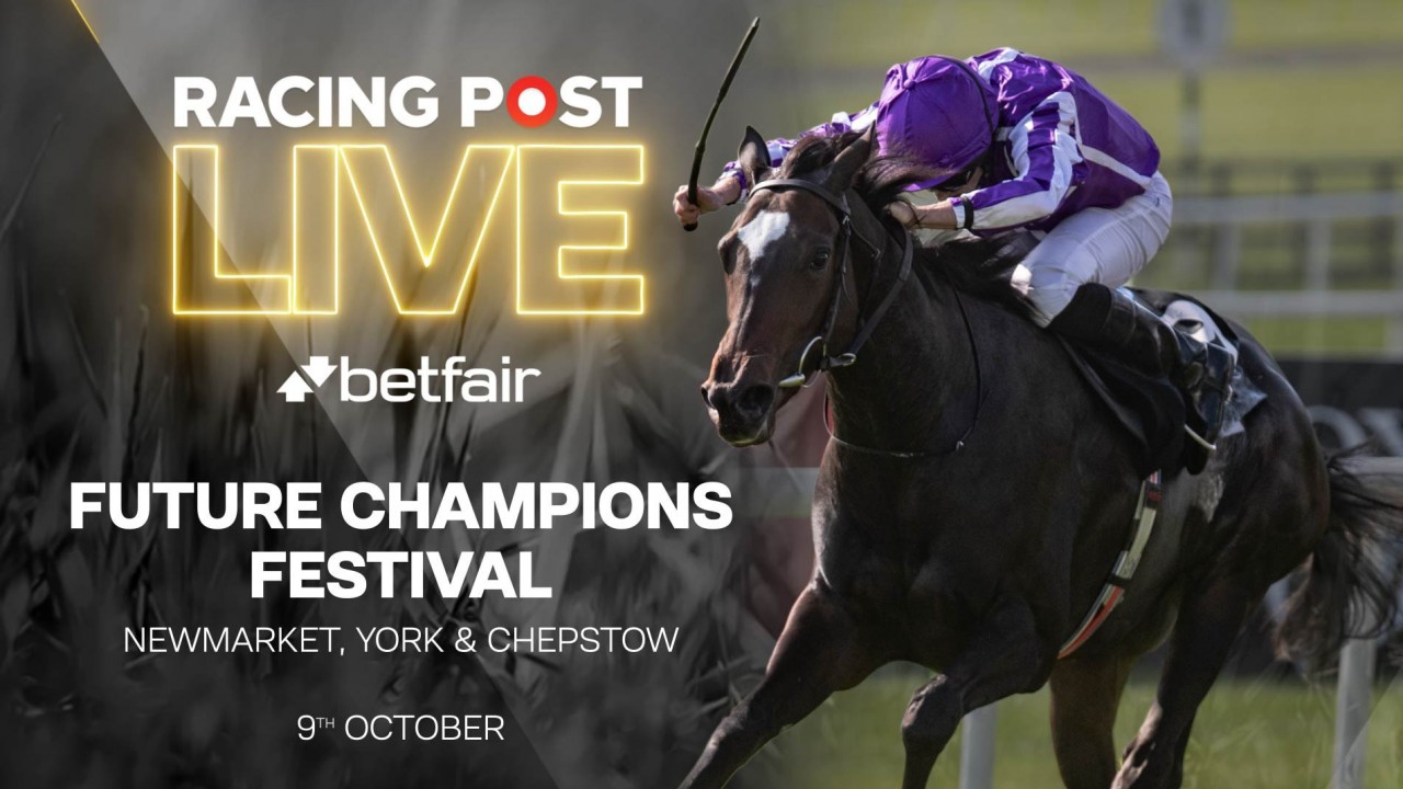 racing post greyhound cards for tomorrow