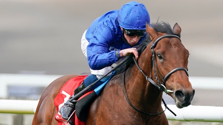One Ruler: sixth in the 2,000 Guineas on his reappearance