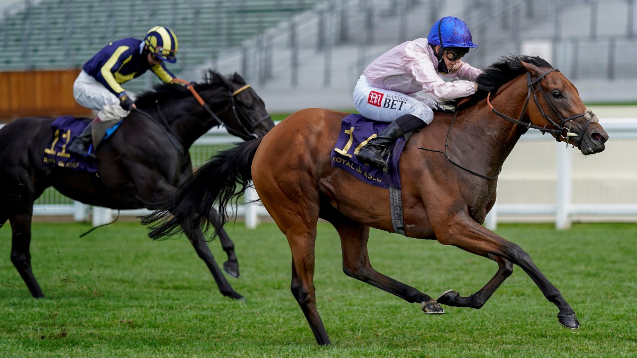 Who Will Relish Soft Ground In The Oak Tree Graeme Rodway Has The Answers Horse Racing News Racing Post