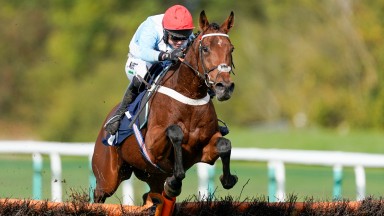 HUNTINGDON, ENGLAND - OCTOBER 13: Nico de Boinville riding Vegas Blue clear the last to win The Bet 10 Get 20 With MansionBet Mares' Maiden Hurdle at Huntingdon Racecourse on October 13, 2020 in Huntingdon, England. Owners are allowed to attend if they ha