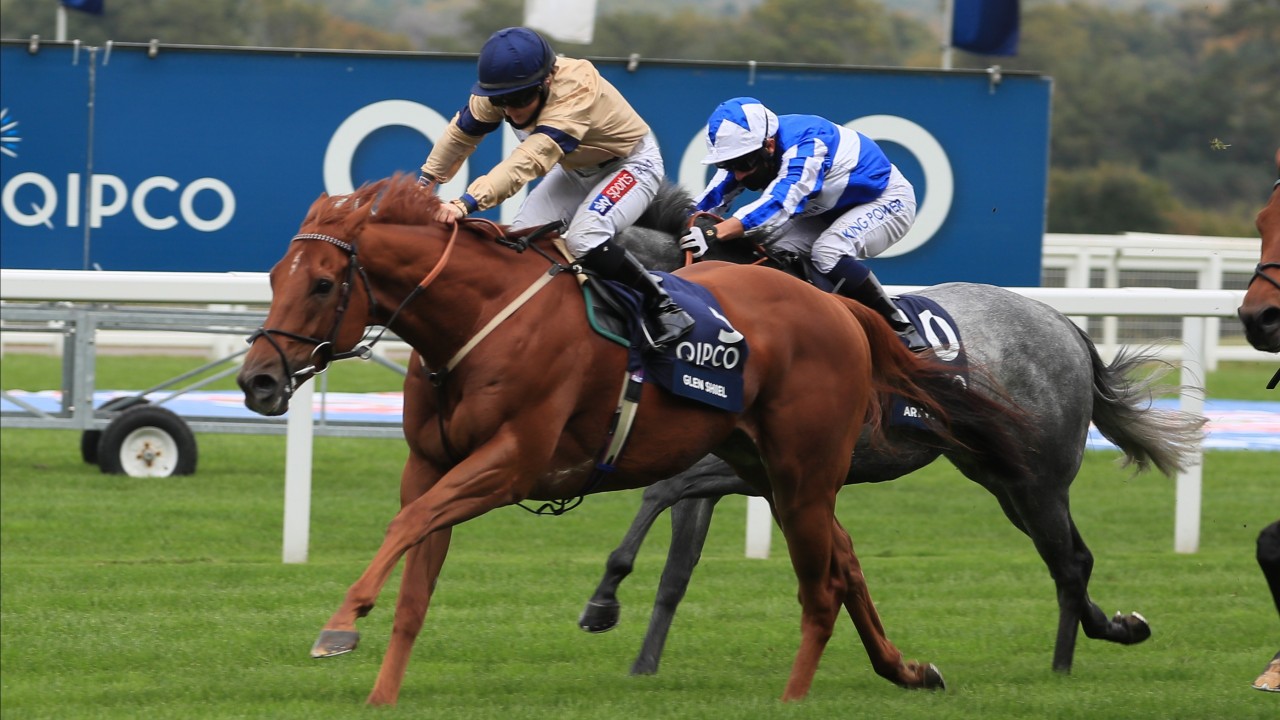 qipco sussex stakes betting
