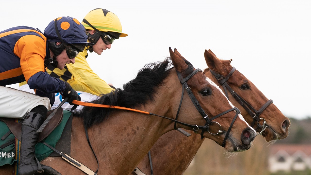 How to play horse racing game