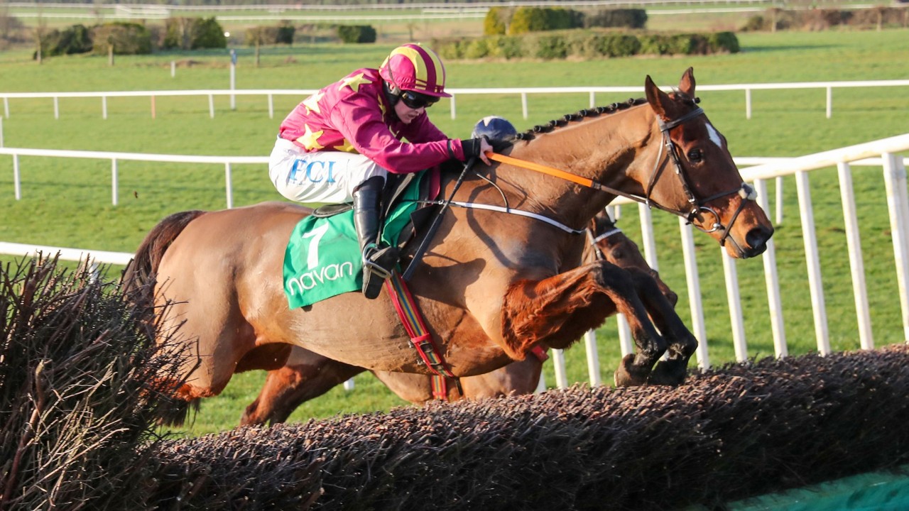 Gold Cup Contender Minella Indo A Warm Order For Navan S New Grade 2 Chase Horse Racing News Racing Post