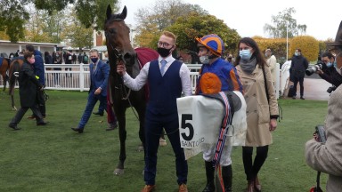 Van Gogh: the first European Group 1 winner for American Pharoah and his second overall