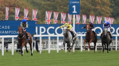 Trueshan and Hollie Doyle have their pursuers chasing in vain as they win the Long Distance Cup on Champions Day