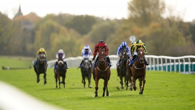 LEICESTER, ENGLAND - OCTOBER 26: Baileys Afterparty (right) ridden by Jack Mitchell wins the Cossington EBF Fillies' Novice Stakes at Leicester Racecourse on October 26, 2020 in Leicester, England. (Photo by Tim Goode - Pool/Getty Images)
