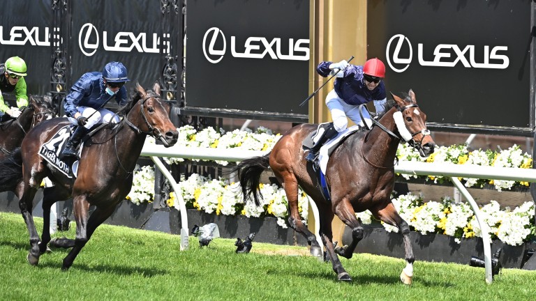 Twilight Payment (red cap): bids for a second Melbourne Cup victory