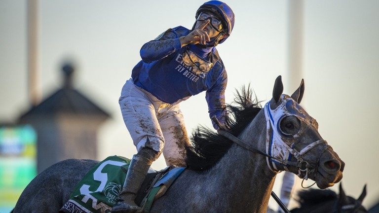 Essential Quality: Breeders’ Cup Juvenile and Belmont Stakes winner will retire after the Breeders' Cup Classic