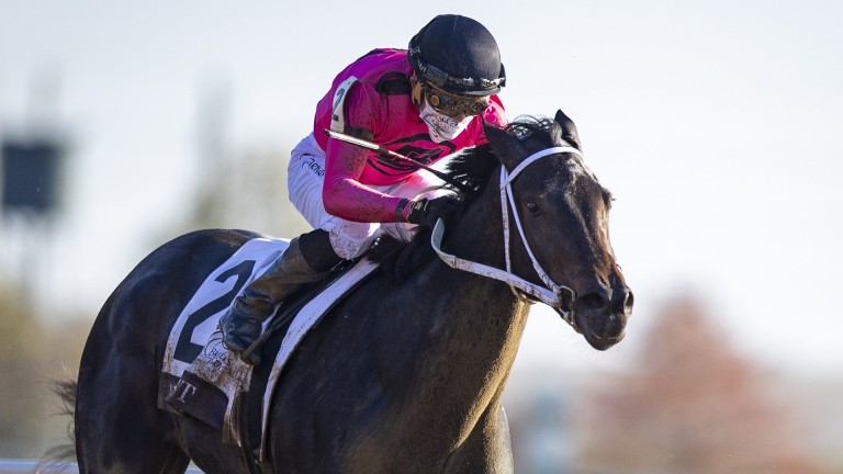 Vero Amore's daughter Vequist, ridden by Joel Rosario, wins the Juvenile Fillies during the first day of the Breeders' Cup at Keenland in November 2020