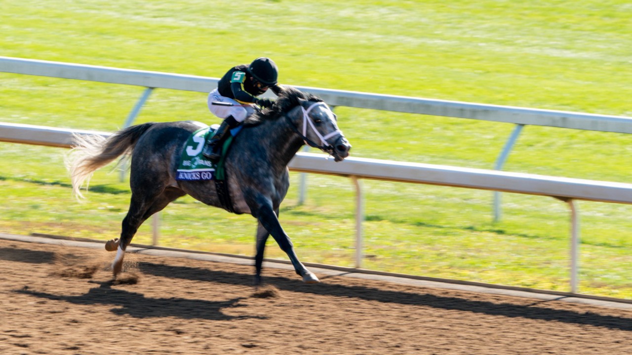 Award Winner Knicks Go Aiming To Emulate Gun Runner And Arrogate In 3m Pegasus Bloodstock News Racing Post