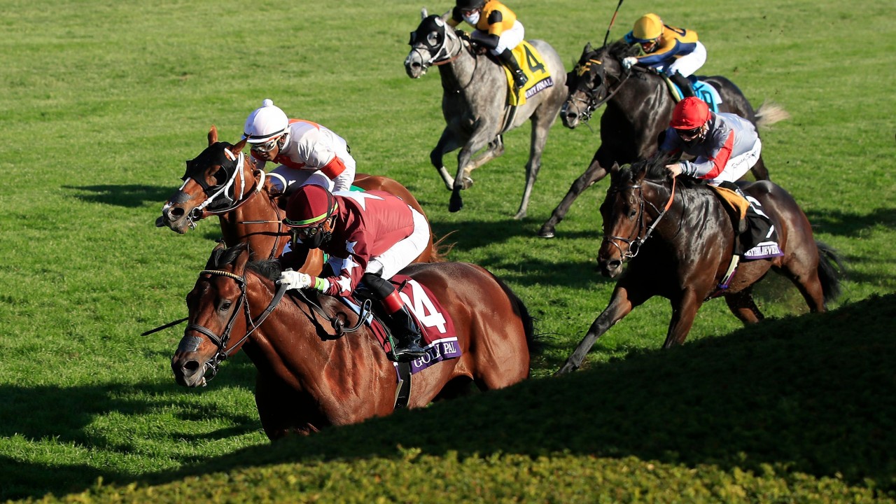 Coolmore purchase Breeders' Cup Juvenile Turf Sprint winner Golden Pal