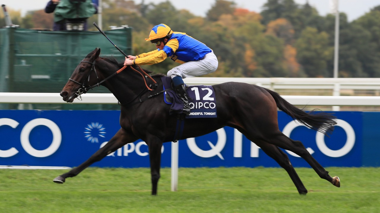 Find out how you fared in John Randall's annual Christmas ...