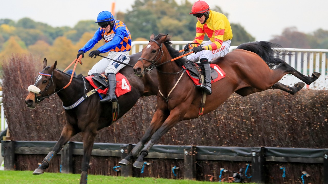 Progressive Chaser Pontresina On The Right Side Of The Handicap Horse Racing News Racing Post