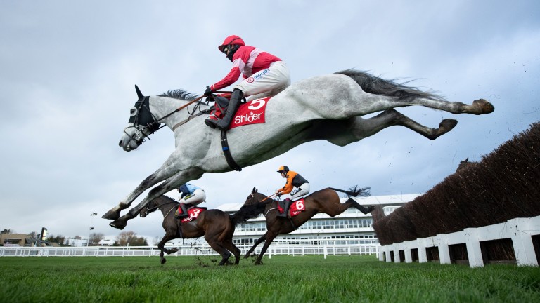 Duc Des Genievres flies over a fence on his seasona reappearance at Cheltenham last month