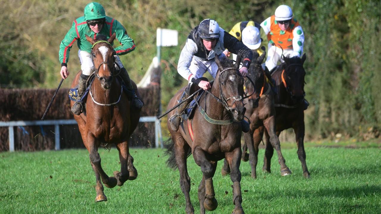 Half Brother To Triumph Victor Farclas To Make Rules Debut For Elliott At Navan Bloodstock News Racing Post