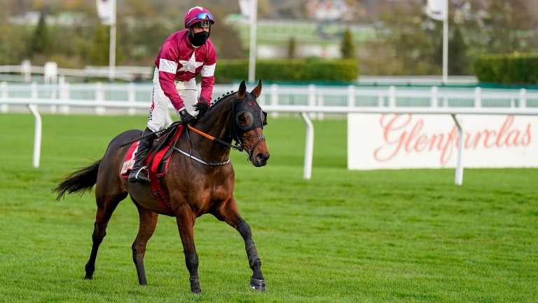Tiger Roll: set to take on Native River at Aintree on Saturday