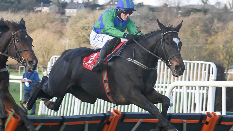 Appreciate It: leading bumper performer from last season has made a great start to life over hurdles