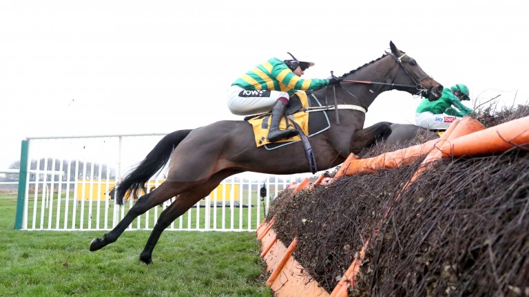 Epatante: a convincing winner of the Grade 1 Fighting Fifth Hurdle at Newcastle