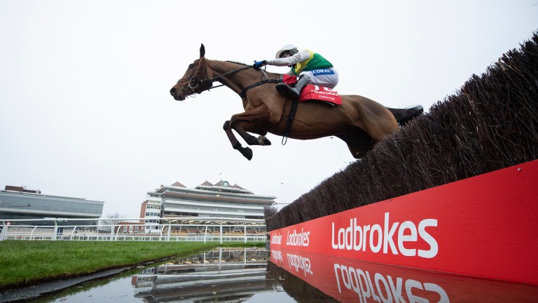 Cloth Cap: winner of the Ladbrokes Trophy last season