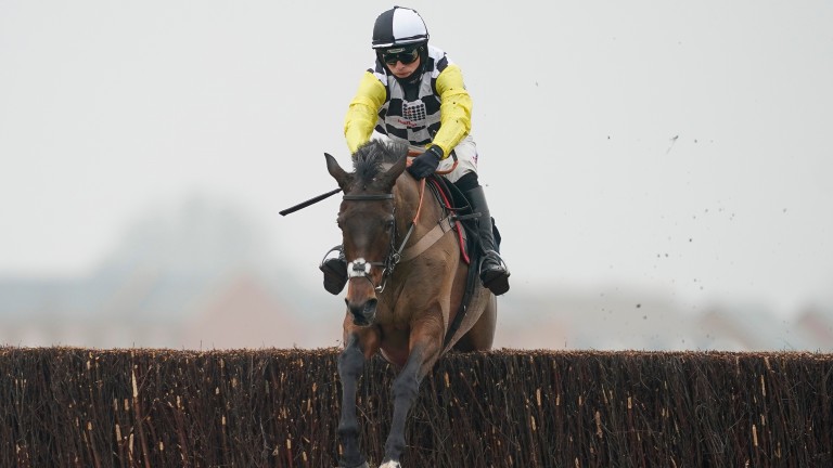 Next Destination: was cut for the race formerly known as the RSA Chase after winning at Newbury on Saturday