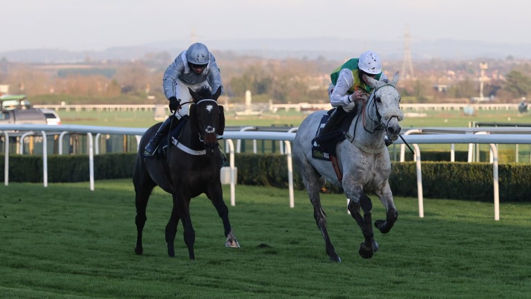 Lake View Lad (right) carries top weight on his seasonal reappearance