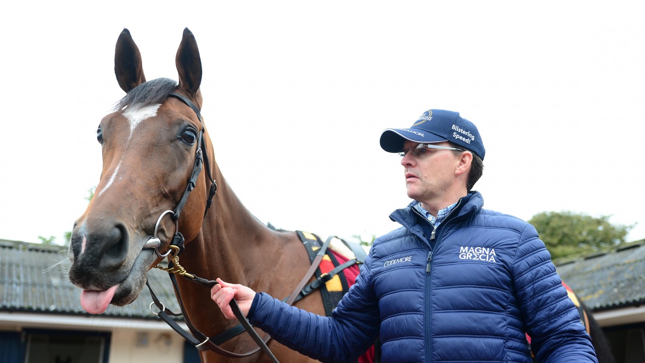 Magical Chases Ballydoyle S Record Eighth Group 1 Win In Sunday S Hong Kong Cup Horse Racing News Racing Post